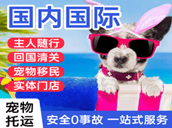 秦皇岛空运代理国际宠物托运 【国